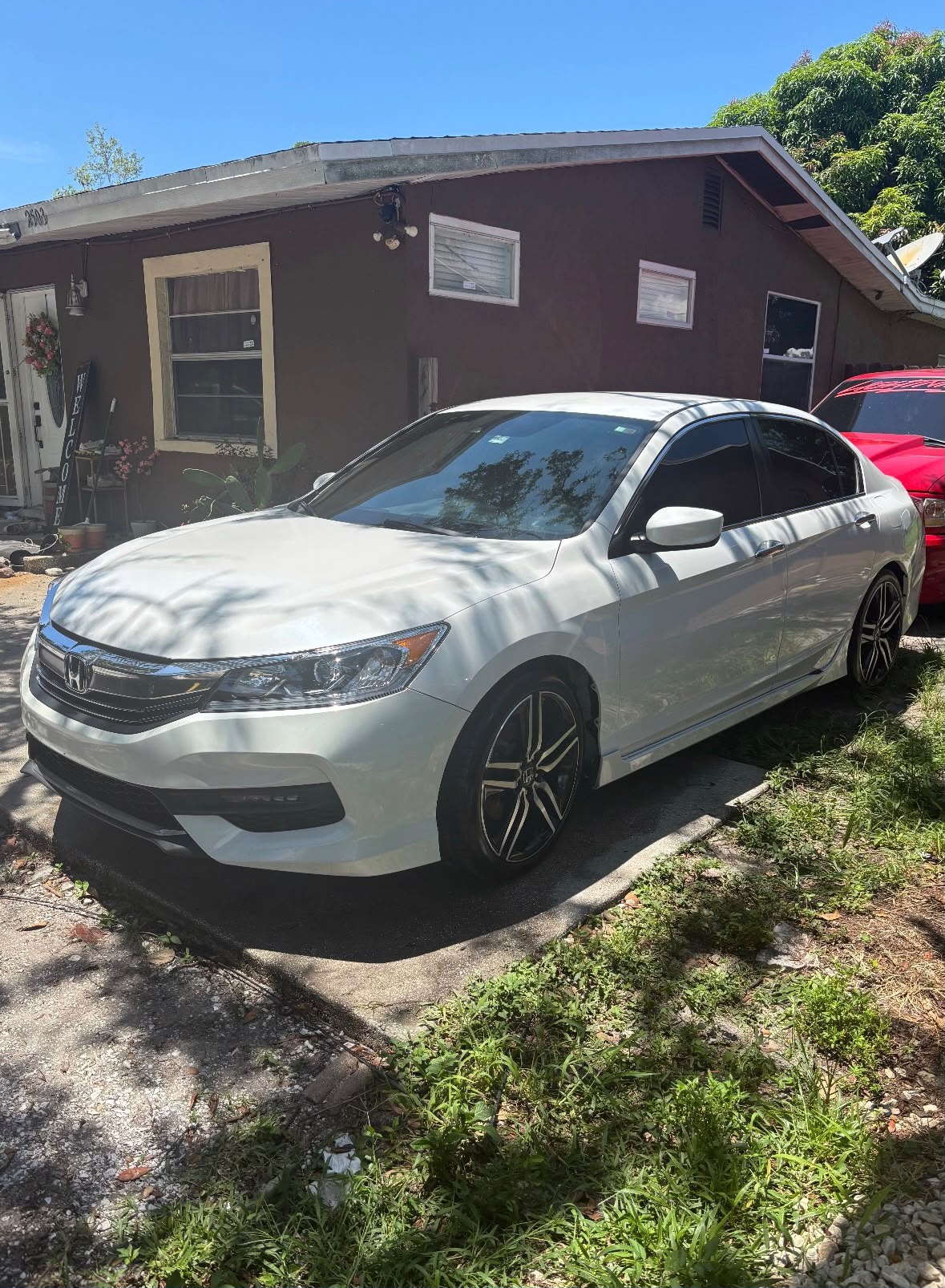 White Honda Accord Sport detailed